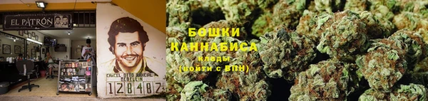 прущие крисы Баксан