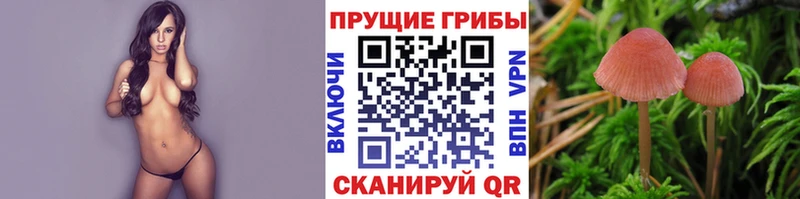 Псилоцибиновые грибы ЛСД  Славск 